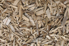 biomass boilers Sluggan